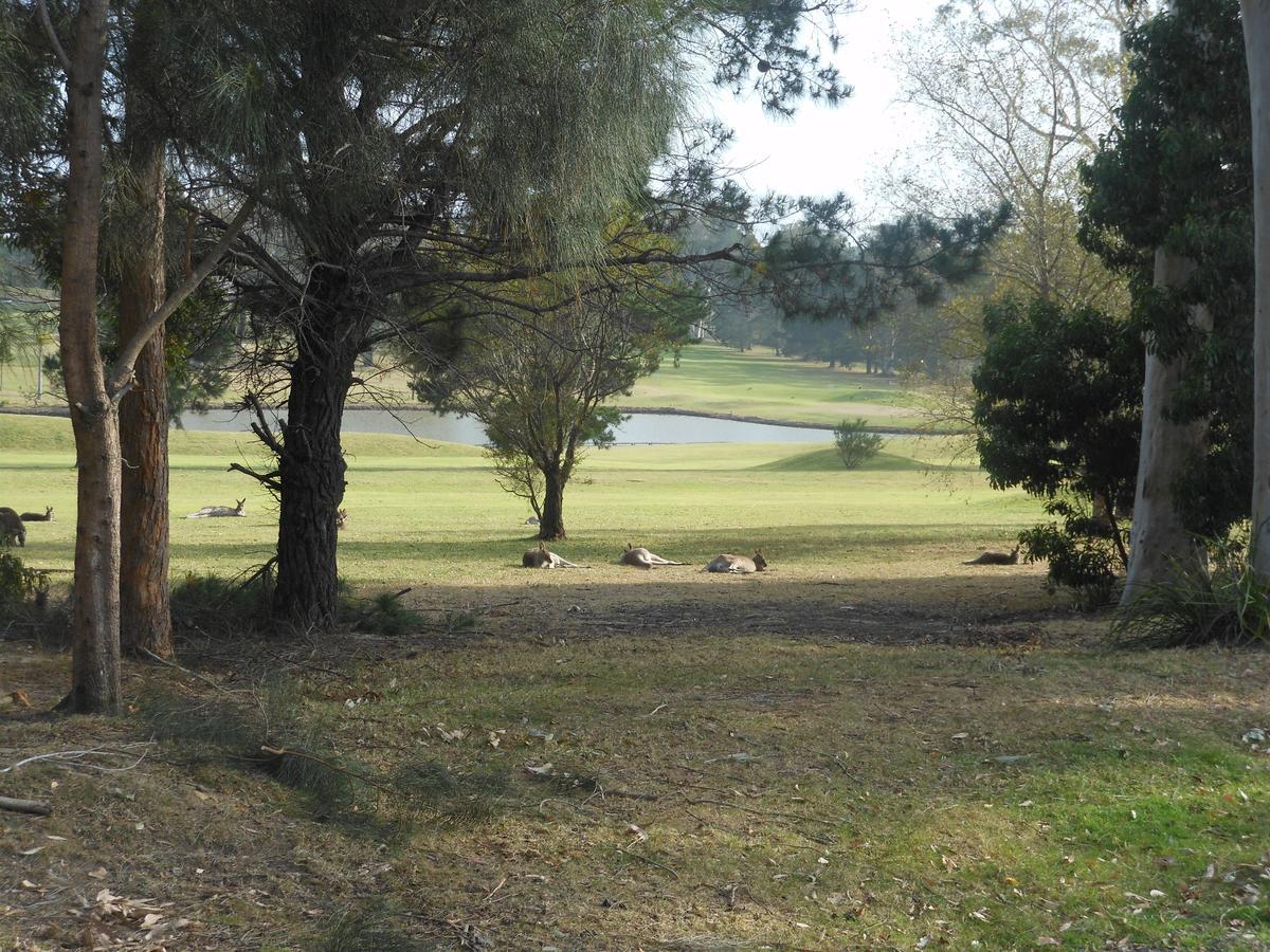 Golf View Motel Sanctuary Point Eksteriør bilde